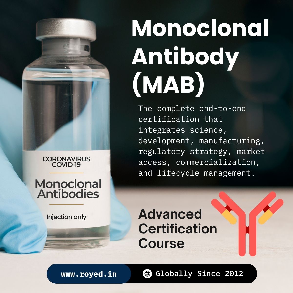 Monoclonal Antibody MAB Training