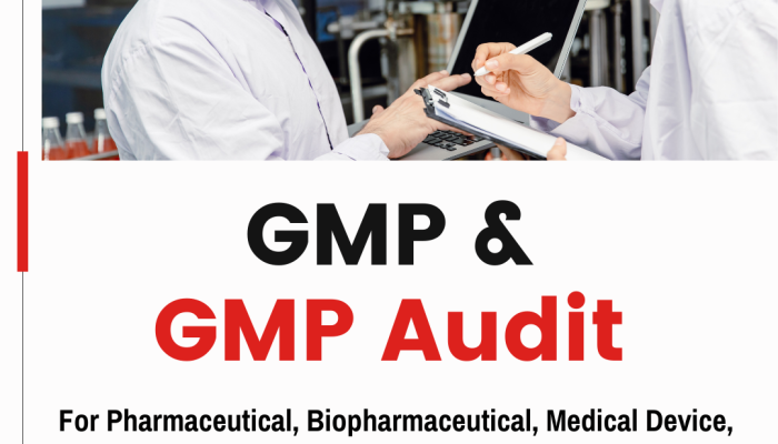 gmp and gmp audit training course