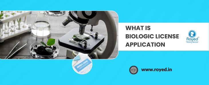 What is Biologic License Application
