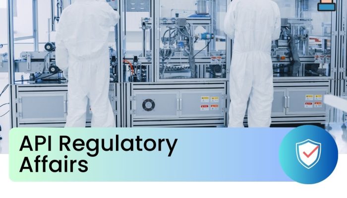API Regulatory Affairs